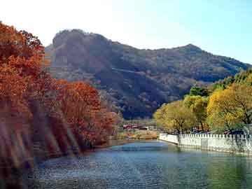 奥门天天开奖免费资料，丰田发动机